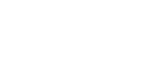 NVMe SSD via PCIe Gen3