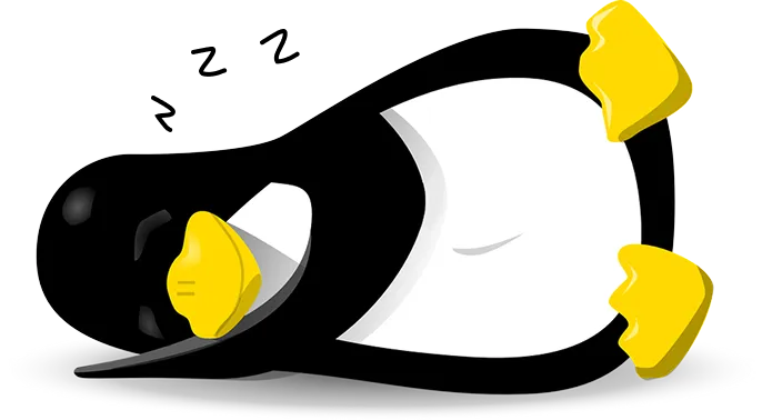 Supports Low-Power Suspend
